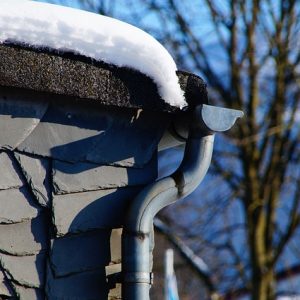 La toiture verte et ses avantages environnementaux