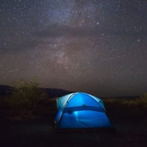 Saveurs authentiques de la Vendée près du Camping Cabestan