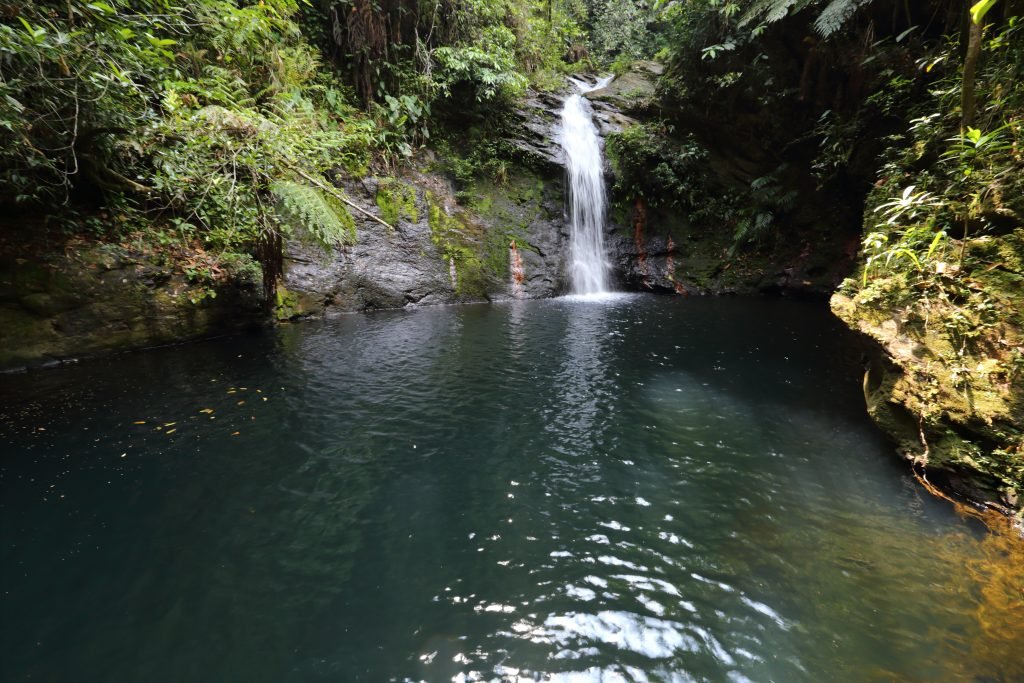 la cascade en Cockscomb Basin