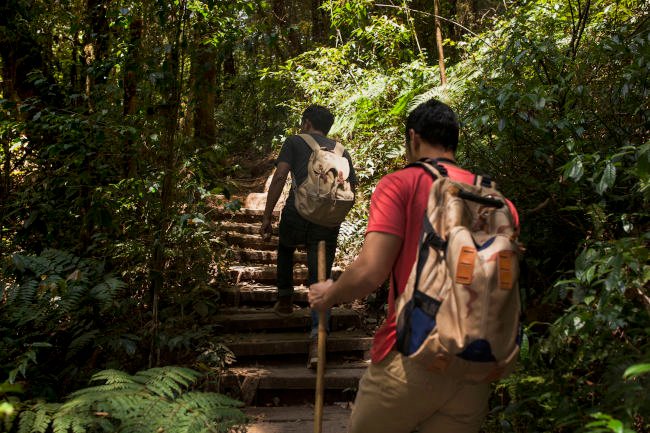 Les meilleurs circuits de randonnée dans la jungle au Belize