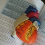 Maladies cardiaques